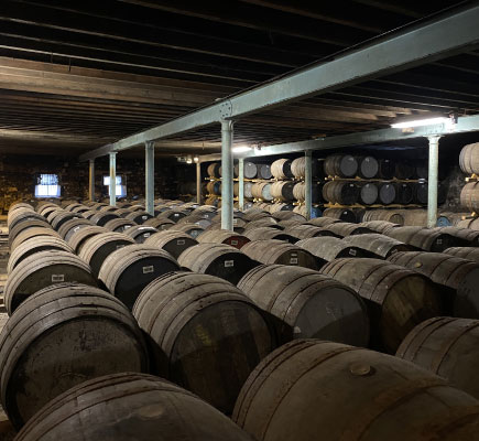 Oak casks maturing Scotch whisky in warehouse